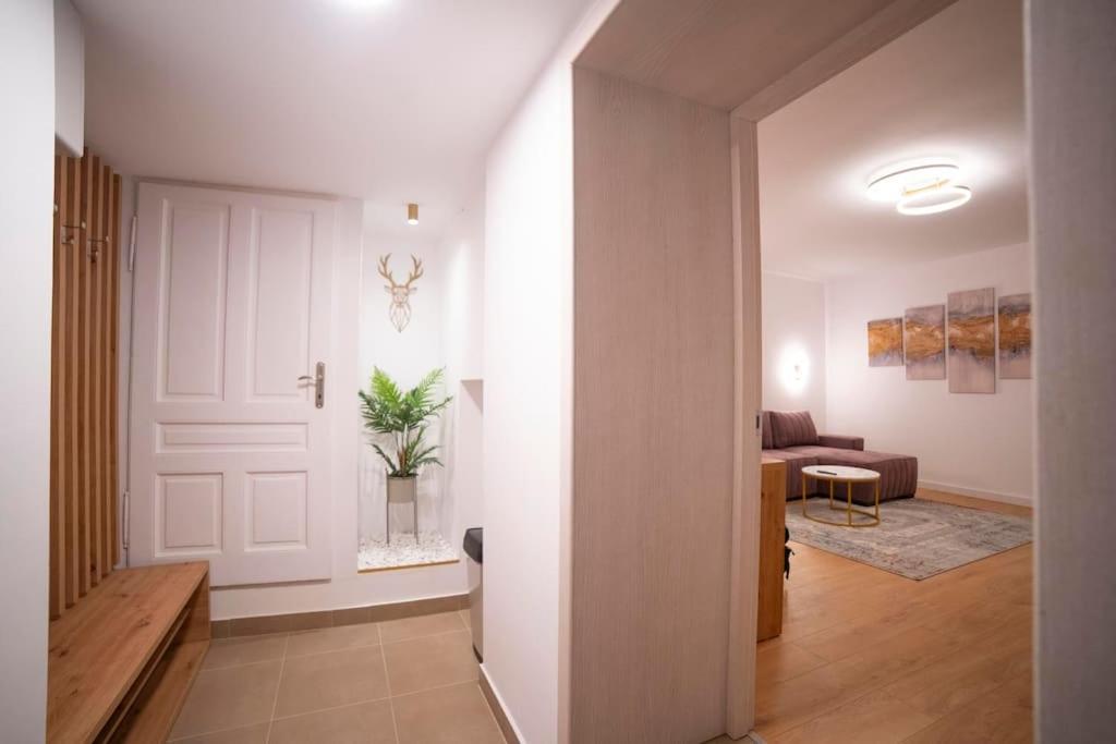 Coban Residence - A3 - Scandinavian Apartment 布拉索夫 外观 照片