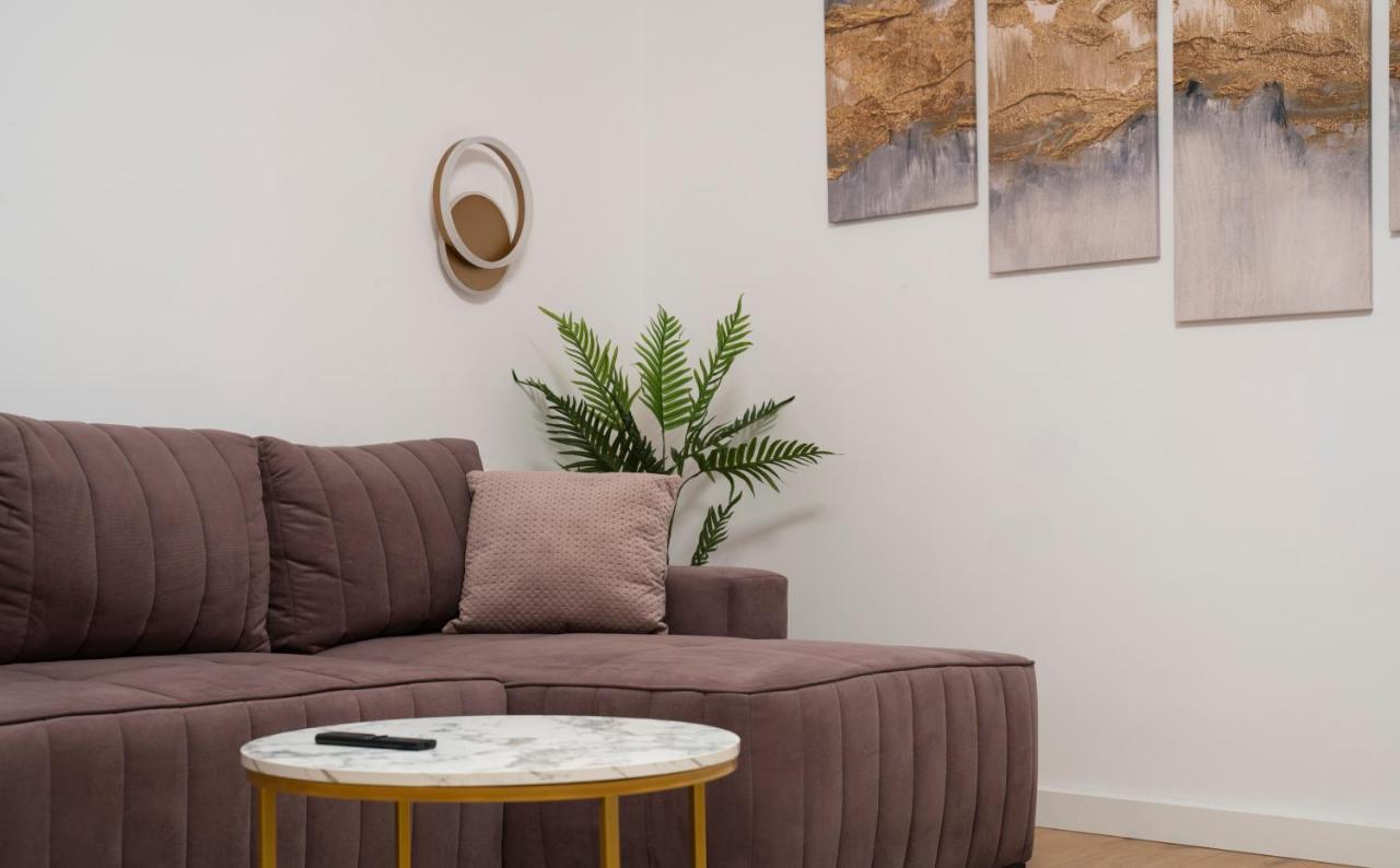 Coban Residence - A3 - Scandinavian Apartment 布拉索夫 外观 照片